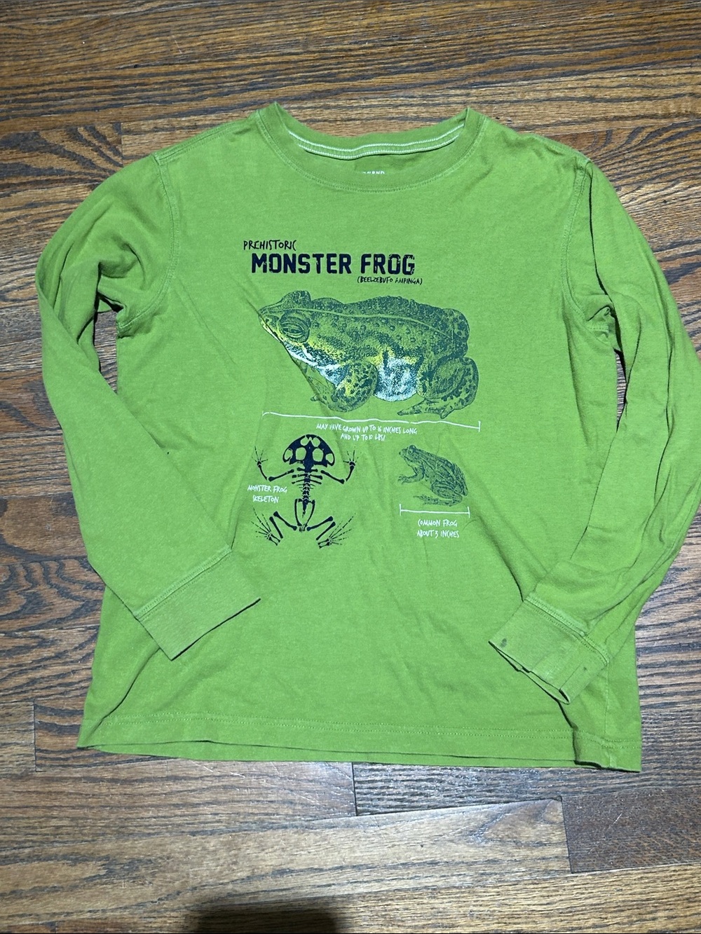 Lands' End Green 'Monster Frog' Long-Sleeve Tee